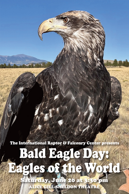 Bald Eagle Day: Eagles of the World