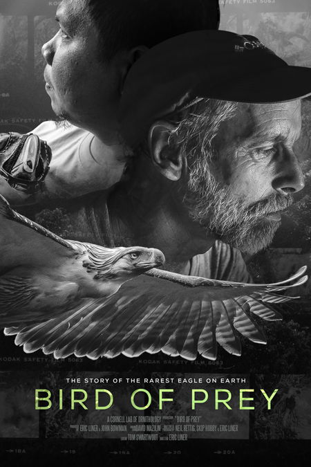 Bird of Prey